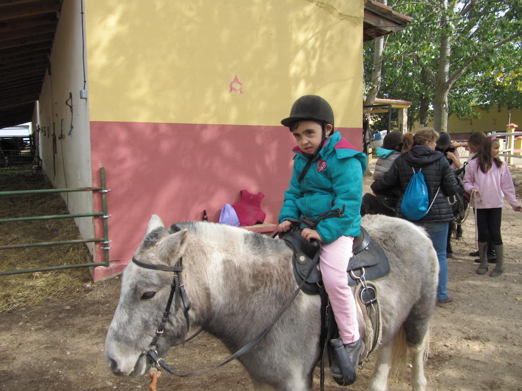 Вілла Casa Rural San Millan Oncala Екстер'єр фото